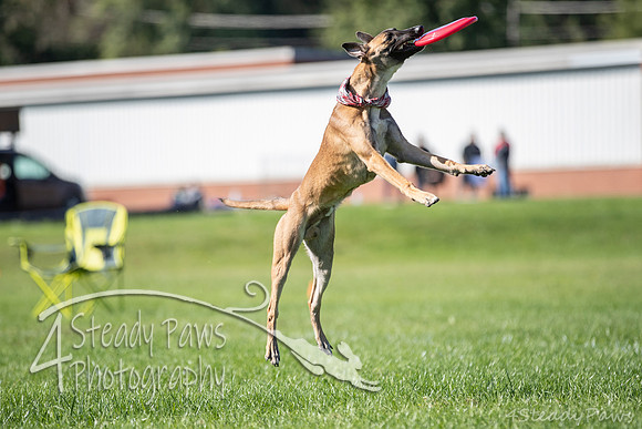 2020DiscChampionship_0726
