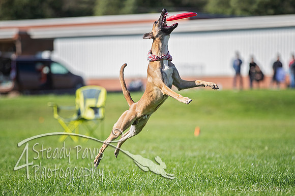 2020DiscChampionship_0715