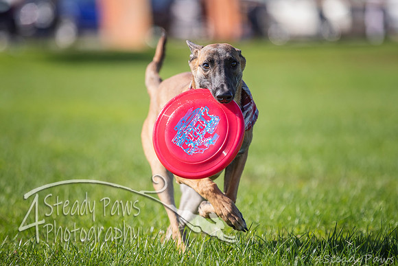 2020DiscChampionship_0708