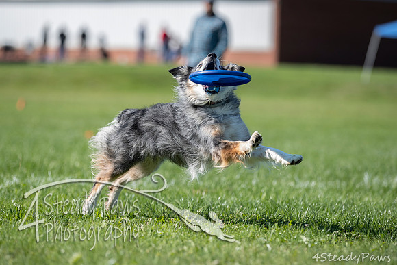 2020DiscChampionship_0954