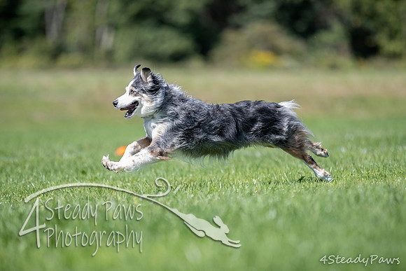 2020DiscChampionship_2770