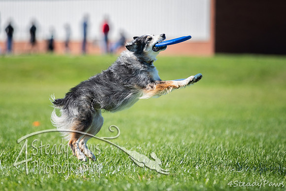 2020DiscChampionship_0942