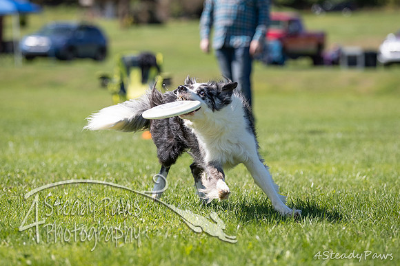 2020DiscChampionship_2412