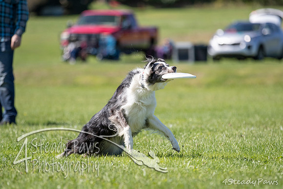 2020DiscChampionship_2402