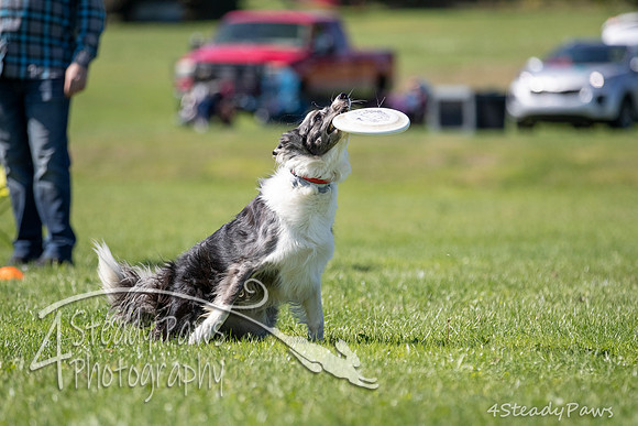 2020DiscChampionship_2403