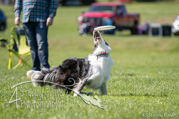 2020DiscChampionship_2401