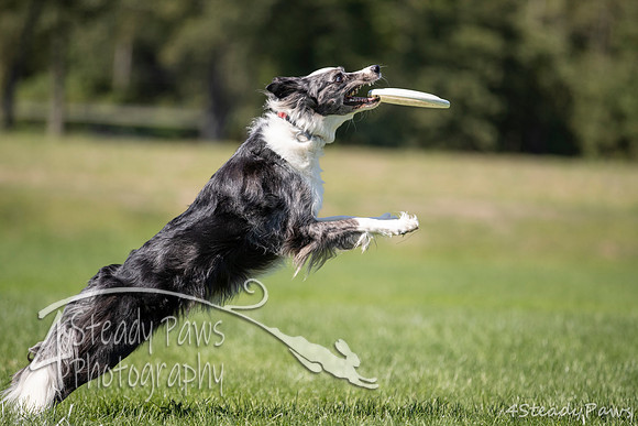 2020DiscChampionship_2396