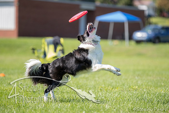 2020DiscChampionship_1862