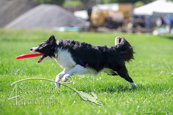 2020DiscChampionship_1854