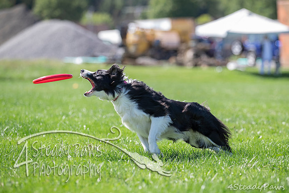 2020DiscChampionship_1855