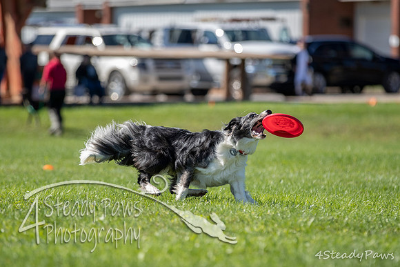 2020DiscChampionship_1559