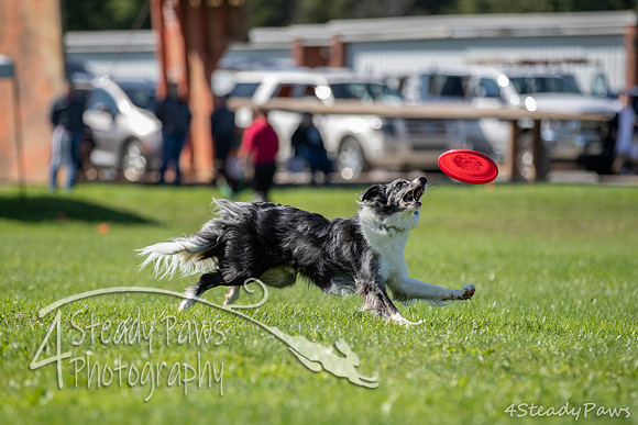 2020DiscChampionship_1557