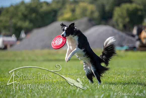 2020DiscChampionship_0865