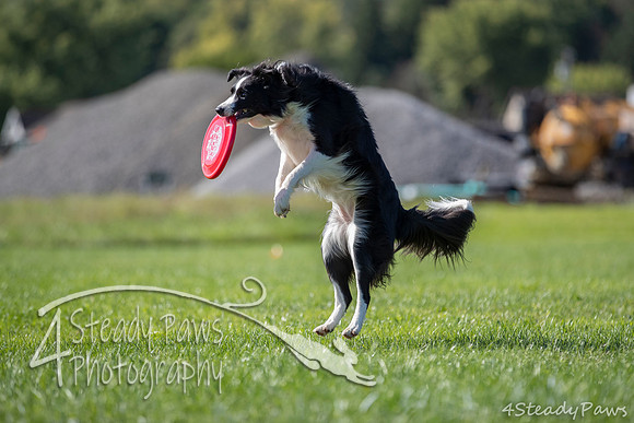 2020DiscChampionship_0870