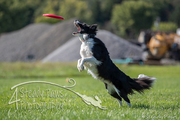 2020DiscChampionship_0871