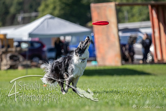 2020DiscChampionship_0589