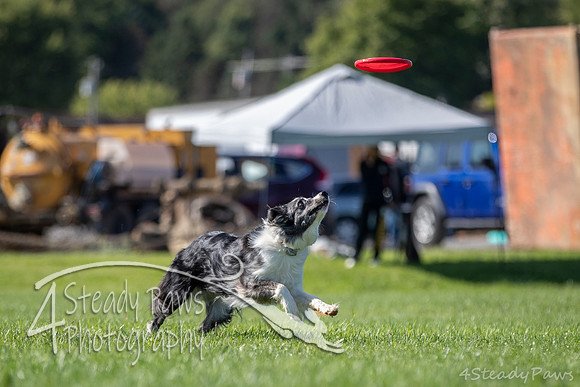 2020DiscChampionship_0595