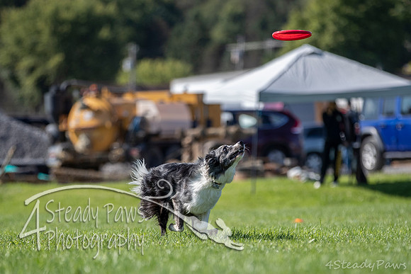 2020DiscChampionship_0594