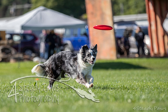 2020DiscChampionship_0572