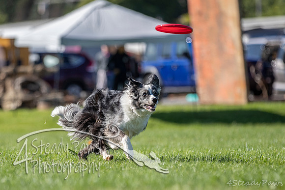 2020DiscChampionship_0573
