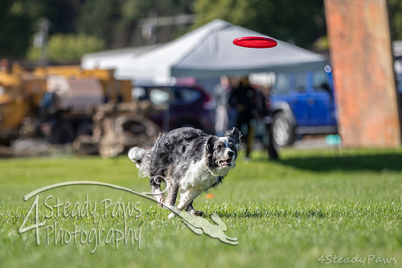 2020DiscChampionship_0564
