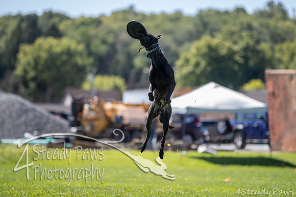 2020DiscChampionship_2618