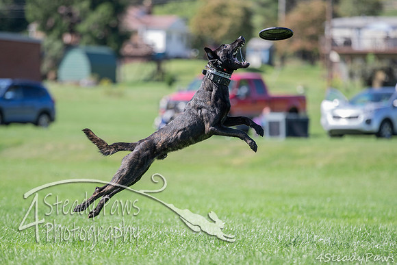 2020DiscChampionship_1803