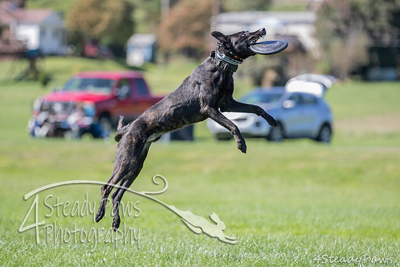 2020DiscChampionship_1805