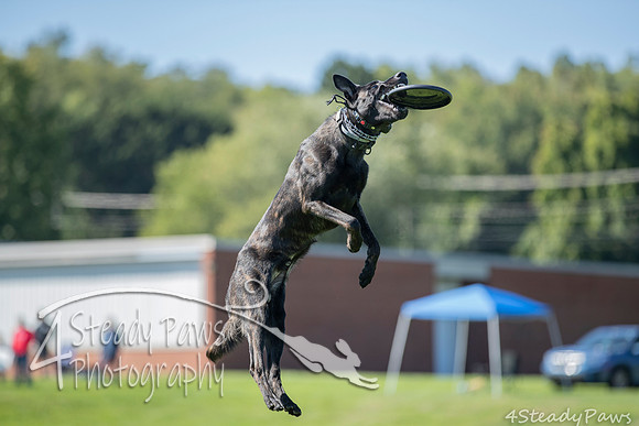 2020DiscChampionship_1780