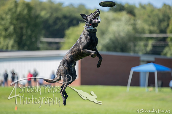 2020DiscChampionship_1779