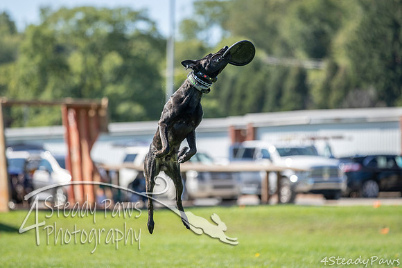 2020DiscChampionship_1772