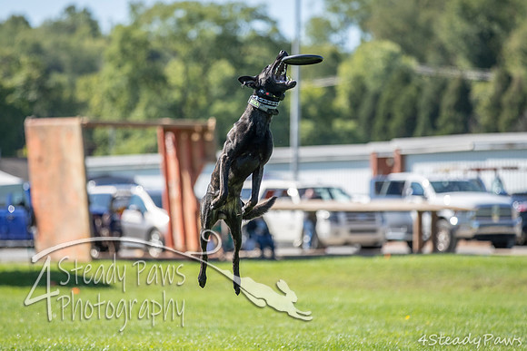 2020DiscChampionship_1773