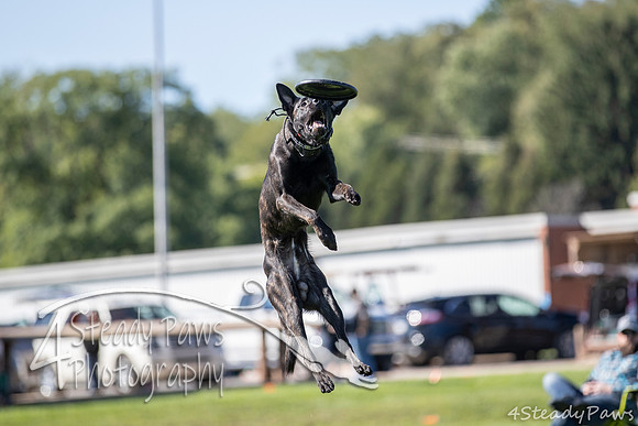 2020DiscChampionship_0812