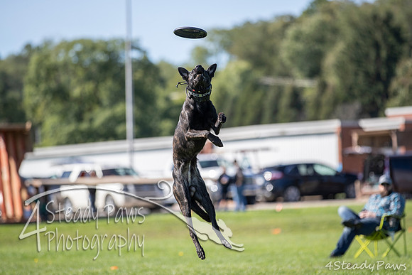 2020DiscChampionship_0814