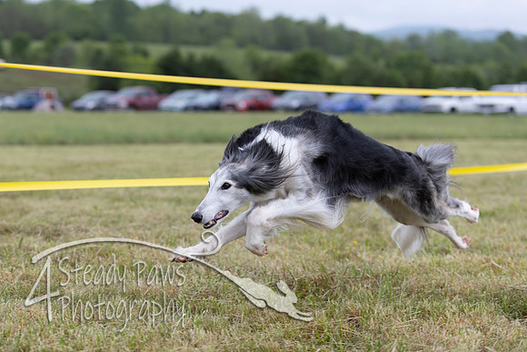 FastDash13