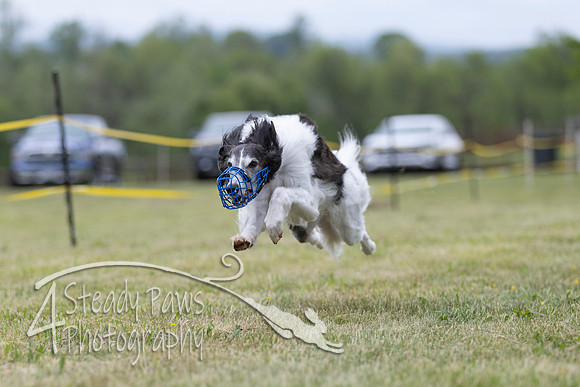 FastDash113