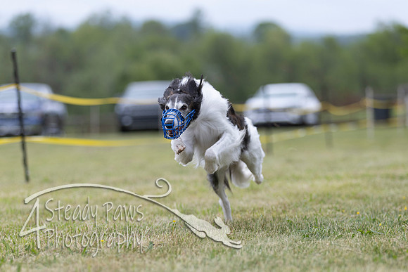 FastDash112