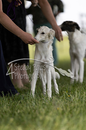 SSSShow1_120