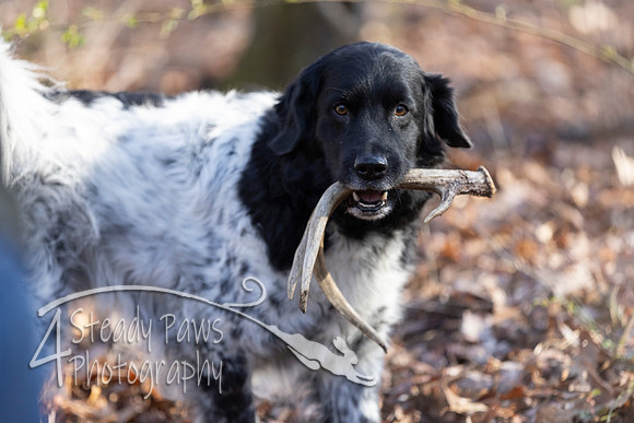 ShedHuntSat42