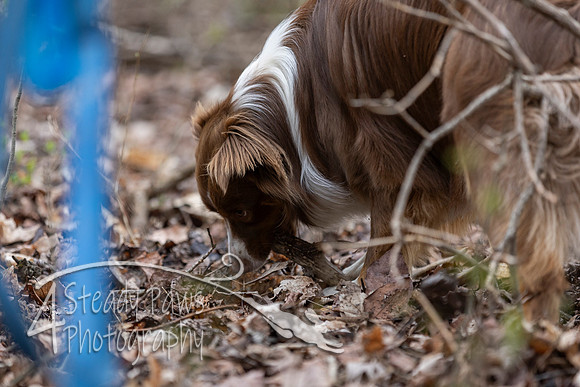 ShedHuntSat224