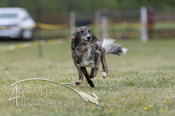 FastDash140