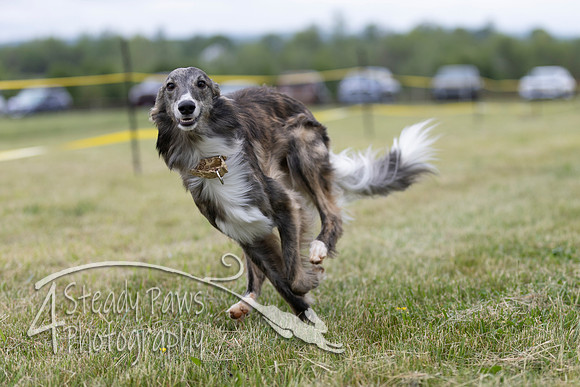 FastDash147
