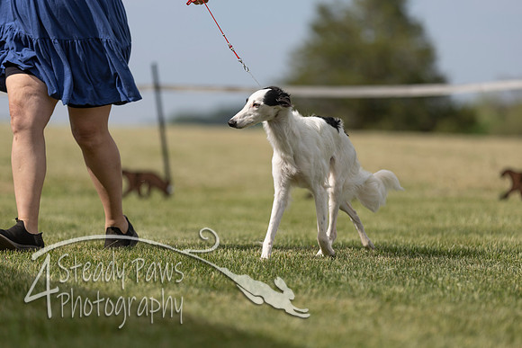 SSSShow1_261