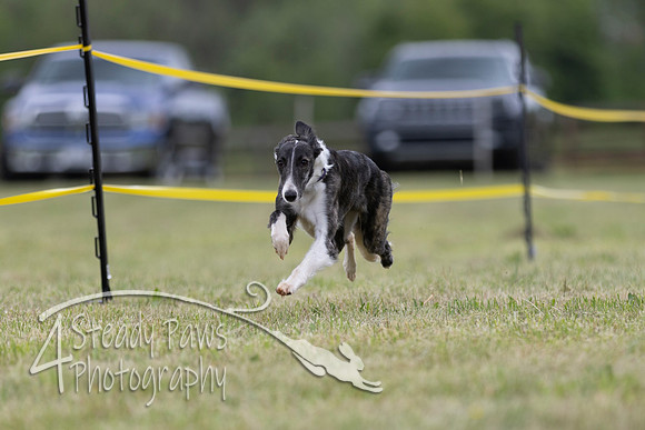 FastDash157