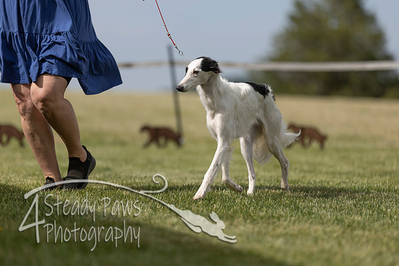 SSSShow1_262