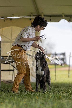 SSSShow1_227