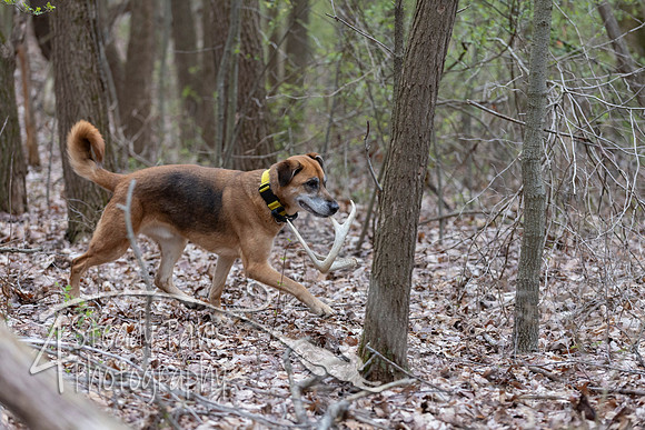 ShedHuntSat11
