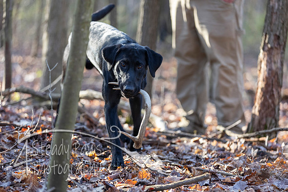 ShedHuntSat06