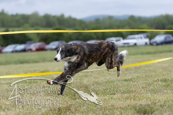 FastDash43