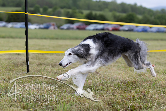 FastDash14
